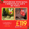 Reindeer& Stocking Neon Xmas Gift Bundle