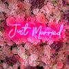 Just Married wedding backdrop