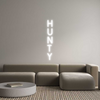 Custom neon sign H
U
N
T
Y