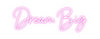 Custom neon sign Dream Big